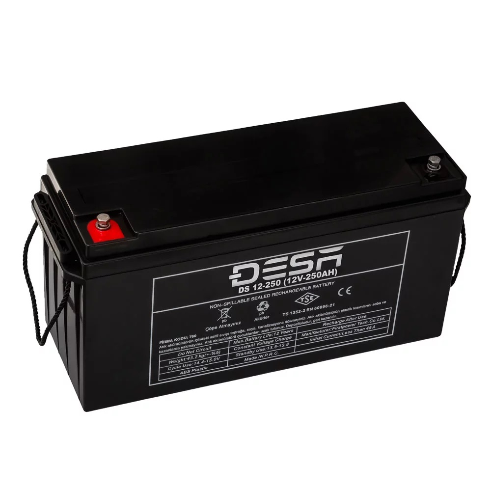DS 12-10 (12V-10AH)